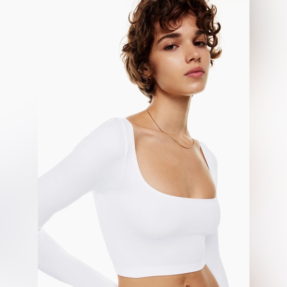 Aritzia crop